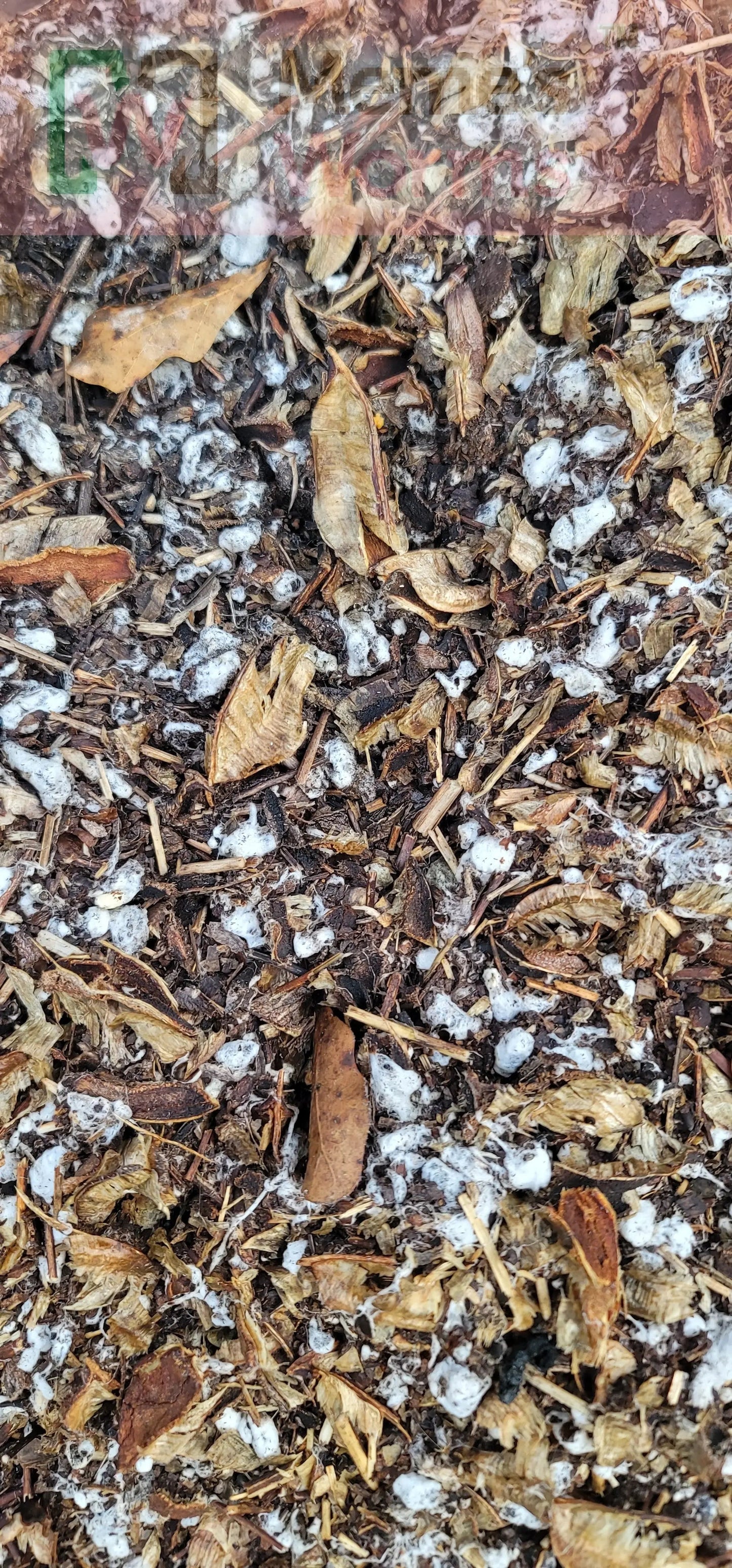 Cotton Compost