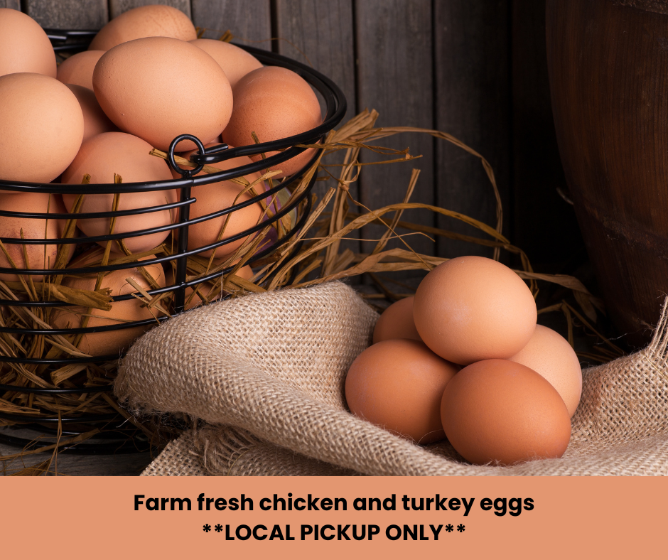 Farm Fresh Eggs *Local pickup only*