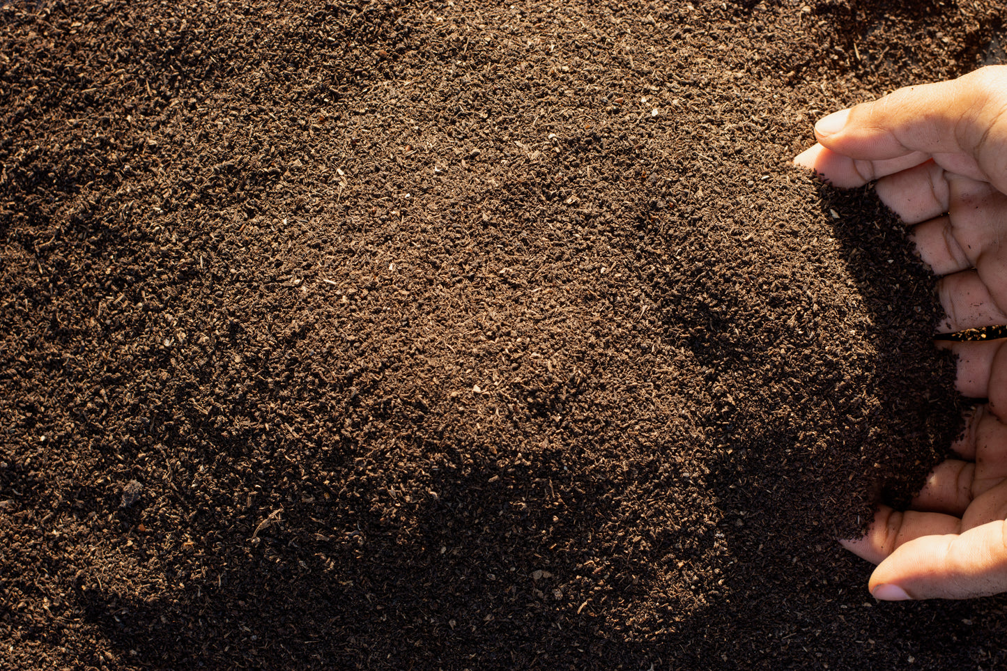 Worm Castings 5 Gallons **LOCAL PICKUP ONLY**