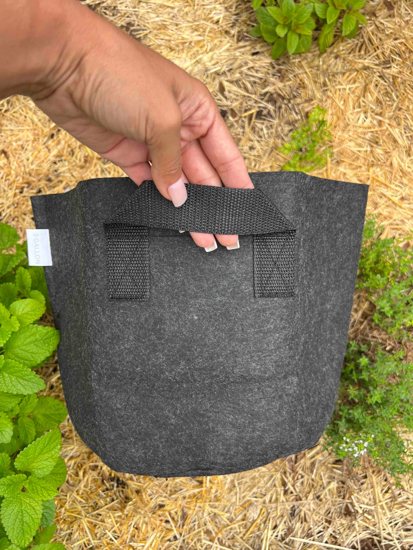 Fabric Worm Bin