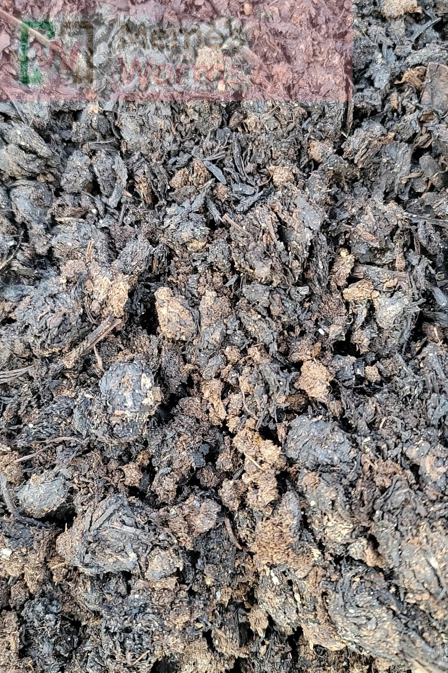 Mushroom Compost