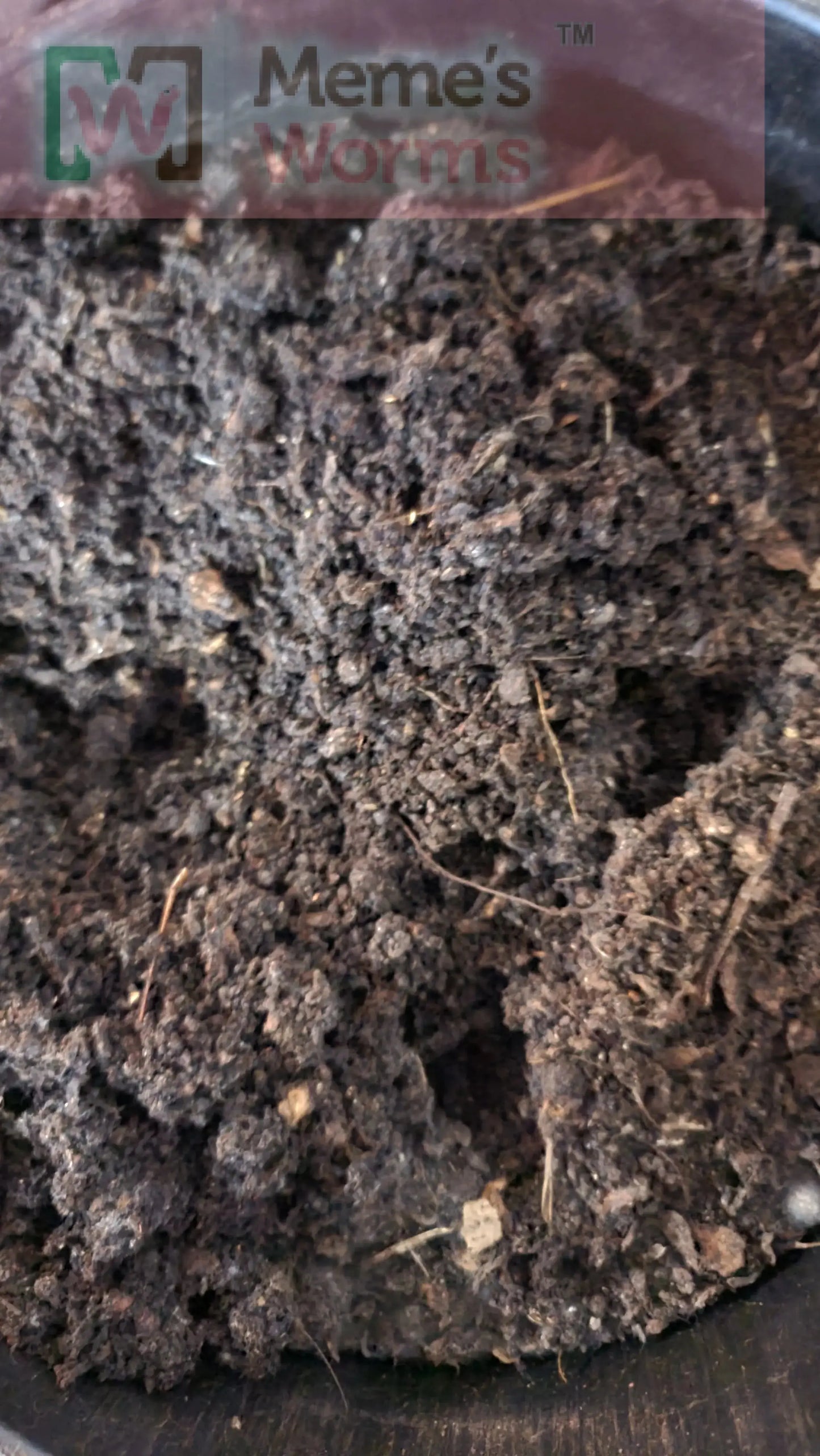Memes VermiFusion Blend Worm Bedding