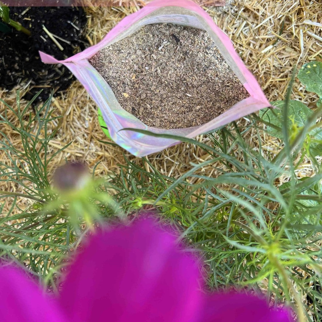 Premium Worm Chow (SC)