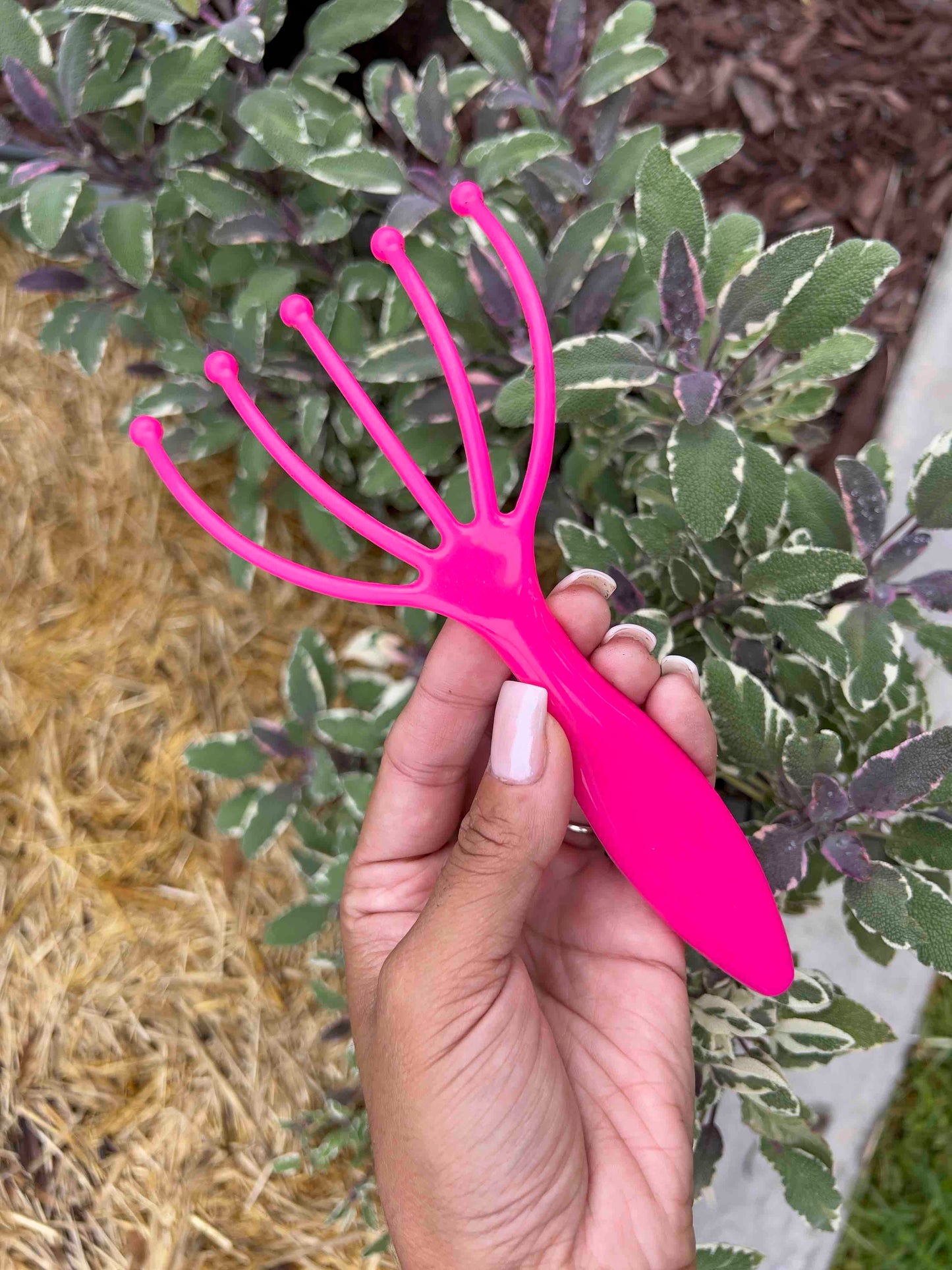 Worm Comb