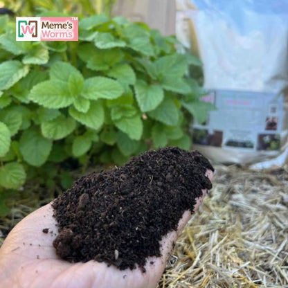 Earthworm Castings For Sale (SC)