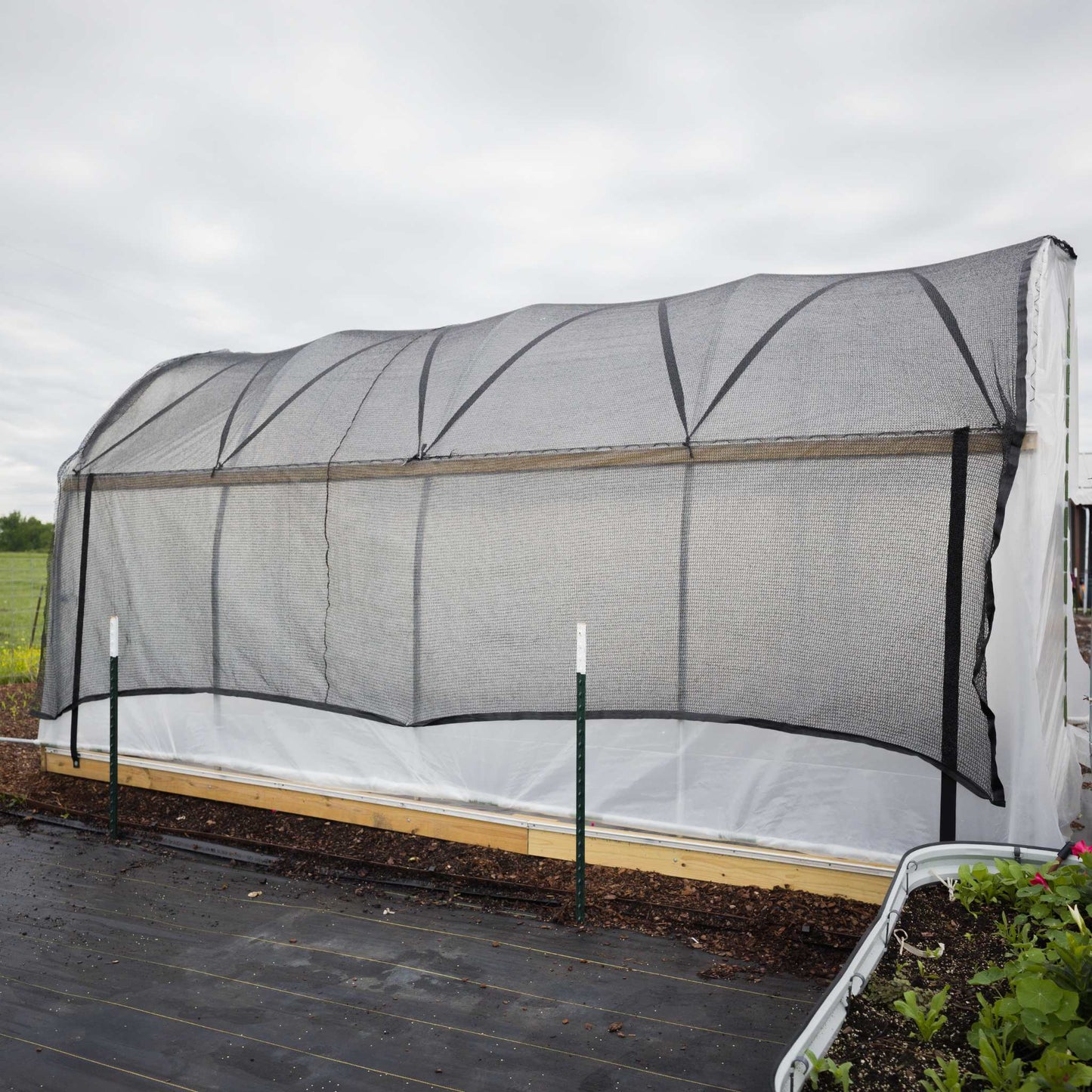10' Essential High Tunnel Kit - Roll-up Sides and End Wall Door Kit Included
