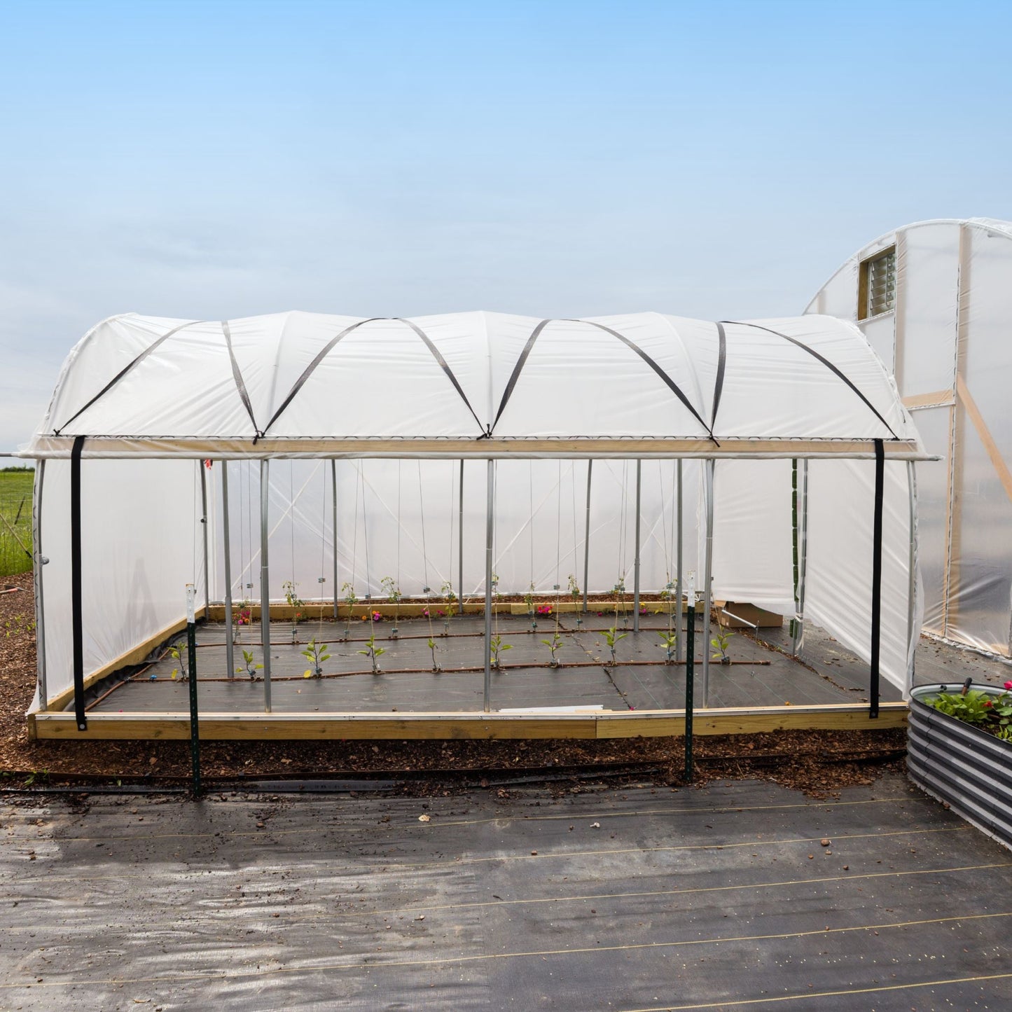 10' Essential High Tunnel Kit - Roll-up Sides and End Wall Door Kit Included