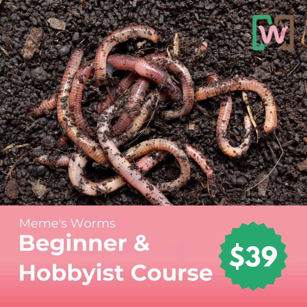 Meme's Worms Beginner & Hobbyist Course Bundle