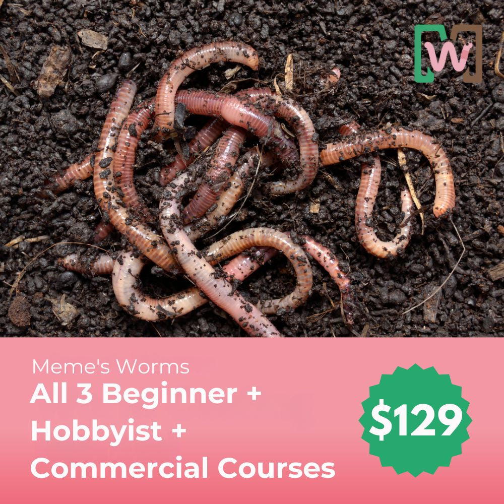 Meme’s Worms Beginner, Hobbyist & Commercial Course Bundle (SC)