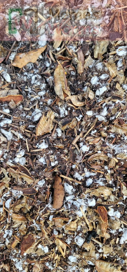 Cotton Compost