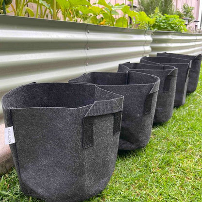 Ready-to-Go Ecosystem with Esienia fiteda composting worms