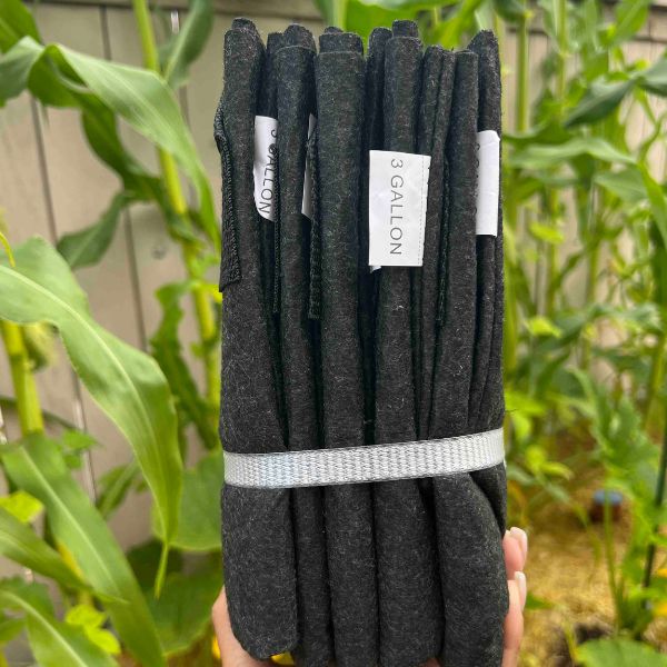 Ready-to-Go Ecosystem with Esienia fiteda composting worms