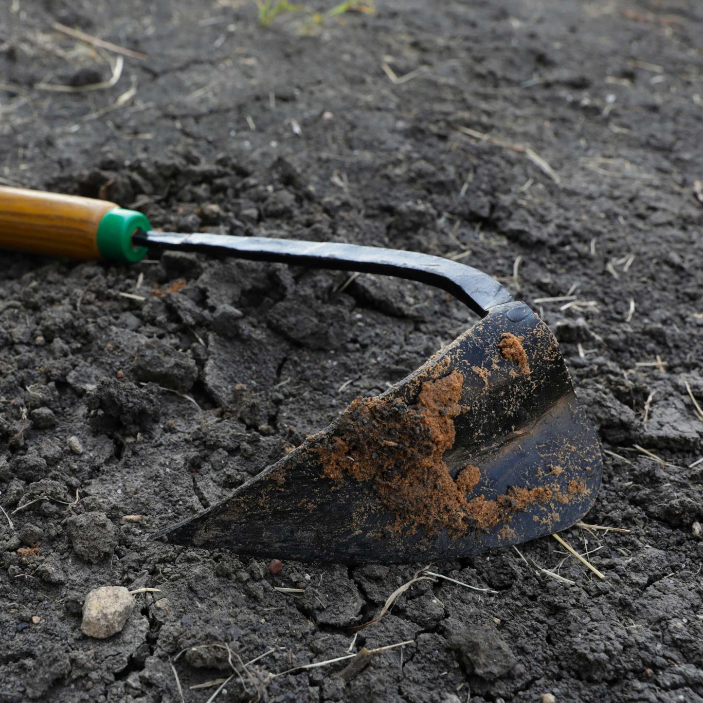 Ez-Digger Korean Triangle Blade | Short Handle