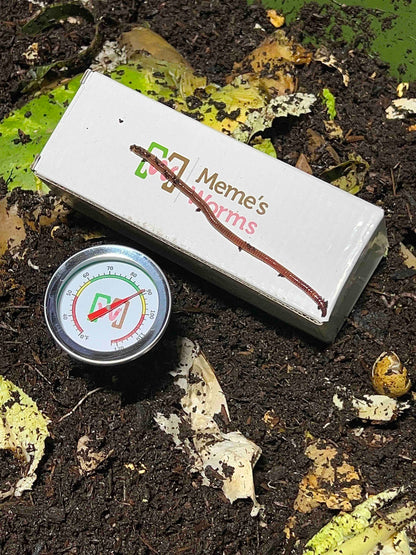 Meme's Worm Thermometer (SC)