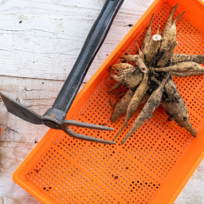 Small Hand Dual Function Garden Hoe With Fork