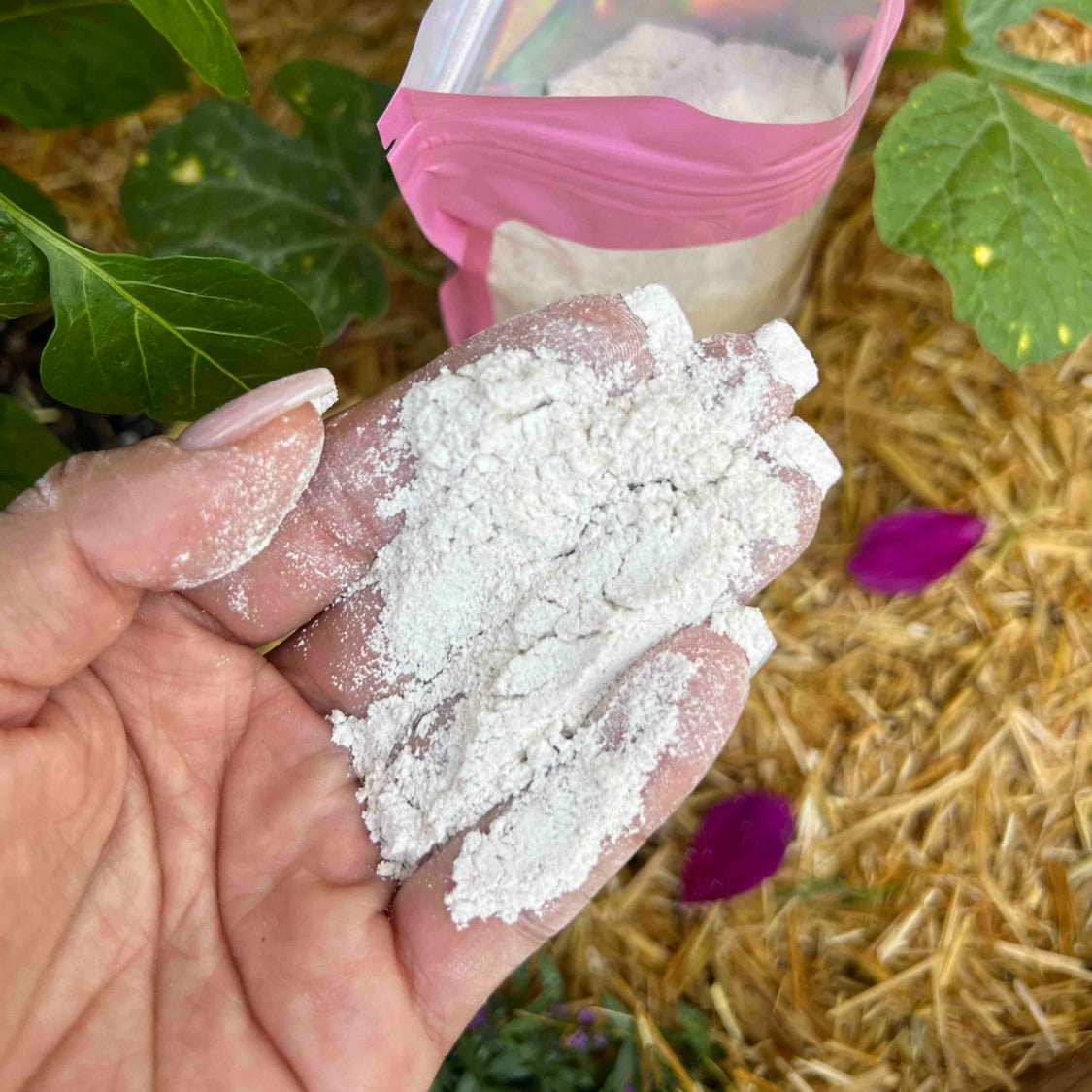 Oyster Shell Flour