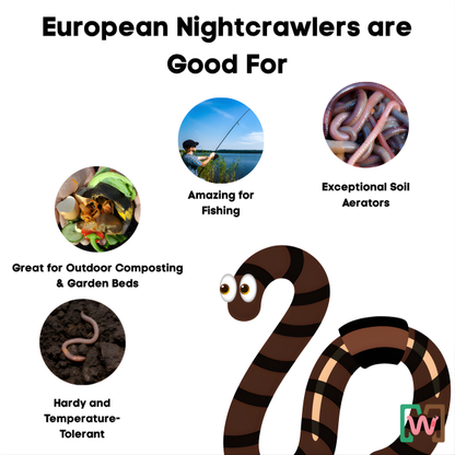 Composting Worm Mix – Red Wigglers & European Nightcrawlers (SC)