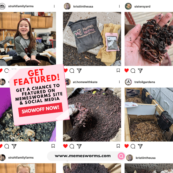Earthworm Castings For Sale