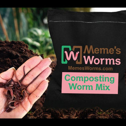 Composting Worm Mix – Red Wigglers & European Nightcrawlers (SC)