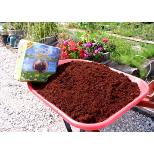 Coconut Coir Case Packs