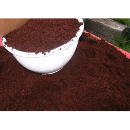 Coconut Coir Case Packs